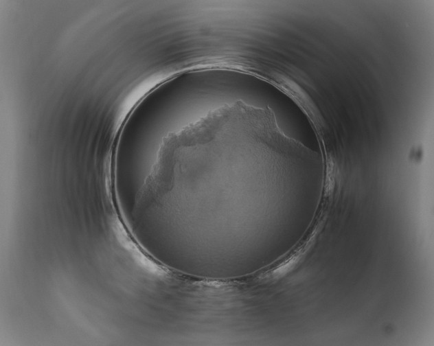 X0000110990812200906191426