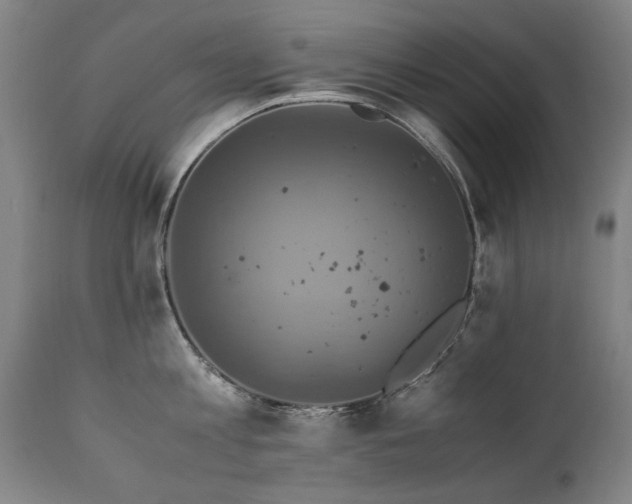 X0000110990813200906191426
