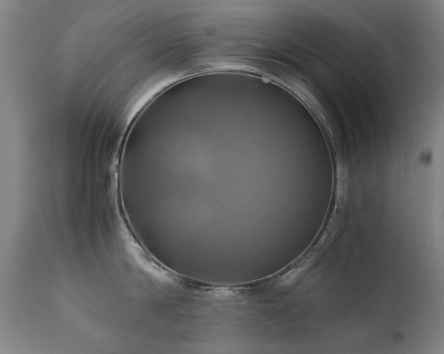 X0000110990814200906191426