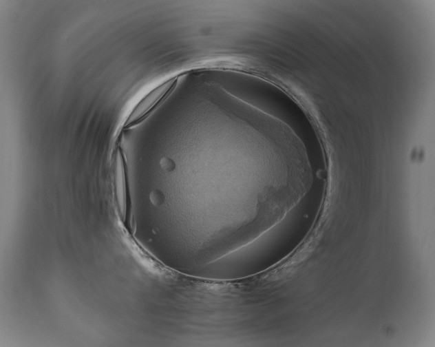 X0000110990816200906191426