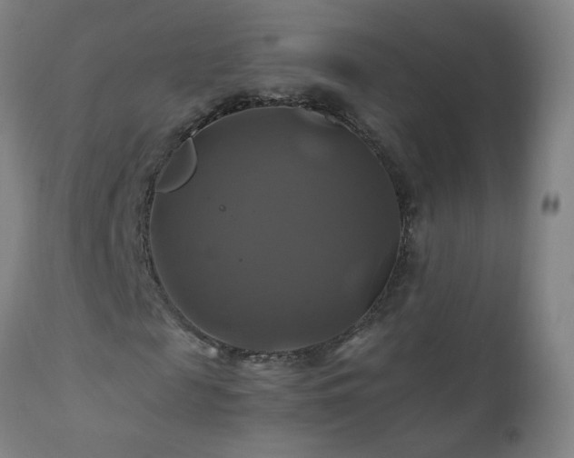 X0000110990817200906191425
