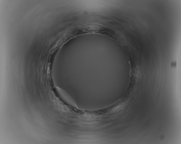X0000110990818200906191425