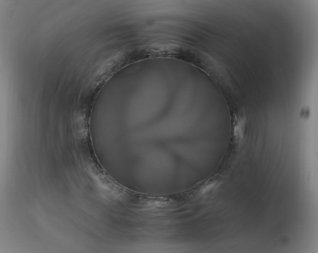 X0000110990819200906191425
