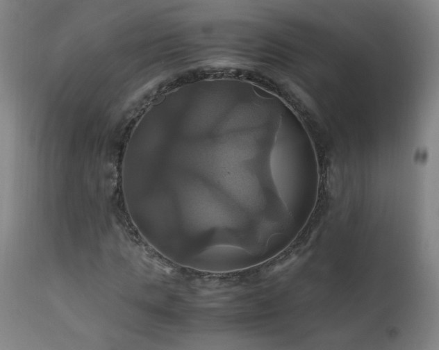 X0000110990821200906191425
