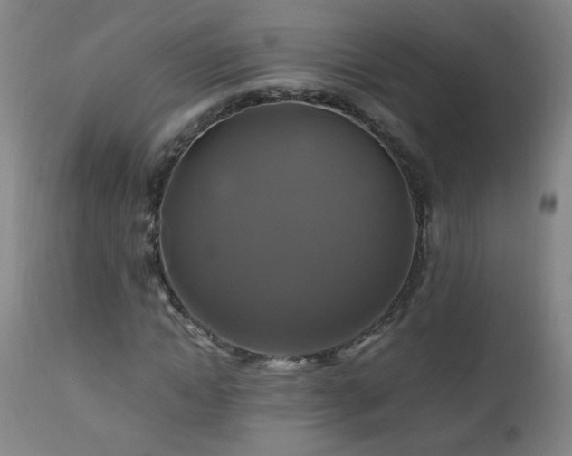 X0000110990822200906191425