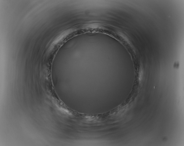 X0000110990823200906191425