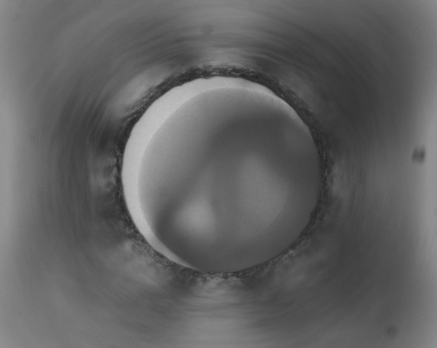 X0000110990824200906191425