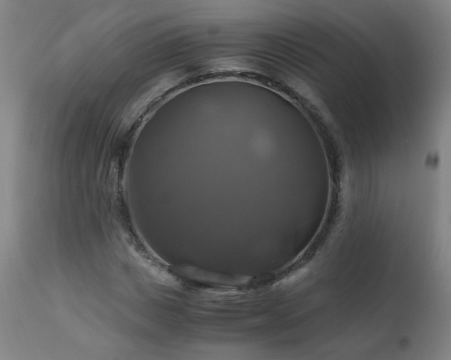 X0000110990825200906191425
