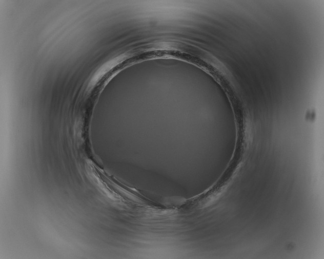 X0000110990826200906191425
