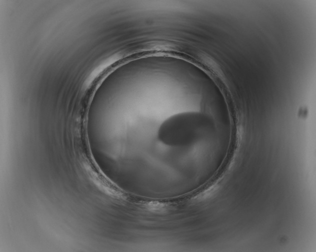 X0000110990827200906191425