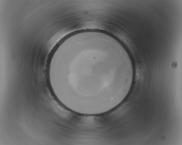 X0000110990828200906191425