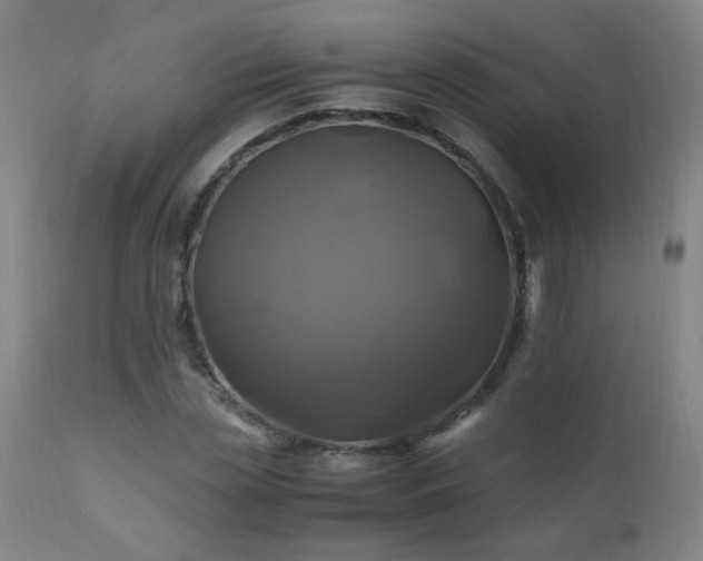 X0000110990829200906191425