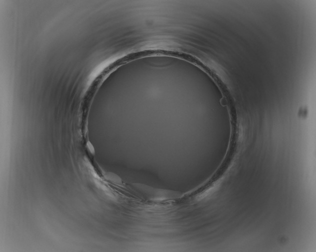 X0000110990830200906191425