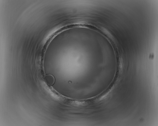 X0000110990831200906191425