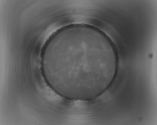 X0000110990832200906191425