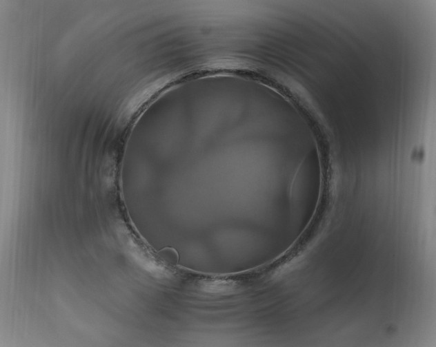 X0000110990833200906191425