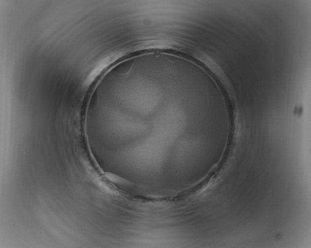 X0000110990834200906191425