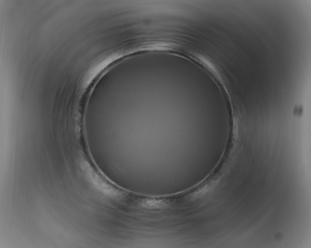 X0000110990835200906191425