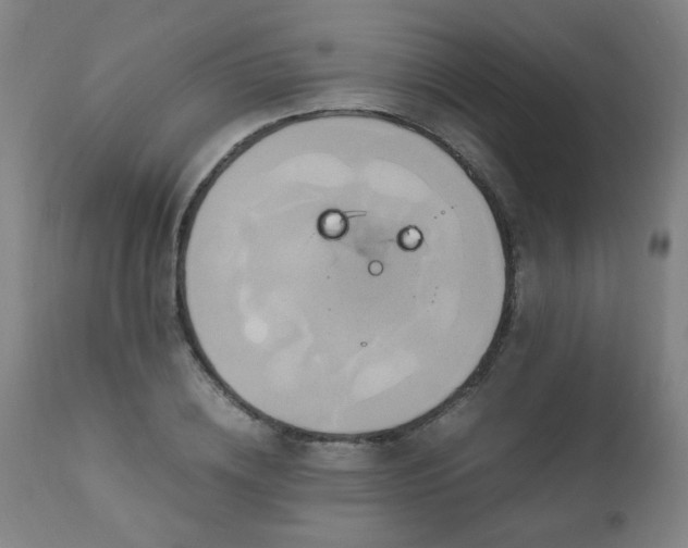 X0000110990836200906191425