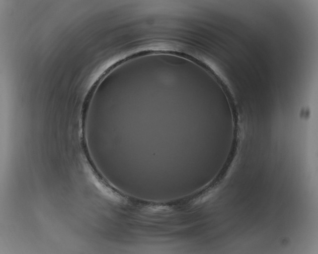X0000110990837200906191425