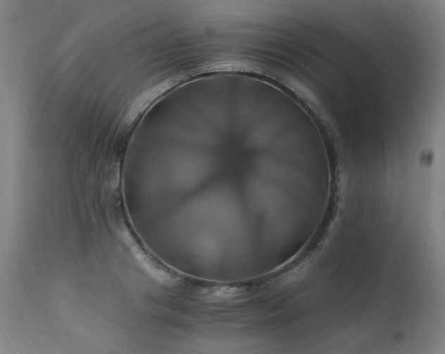 X0000110990841200906191425