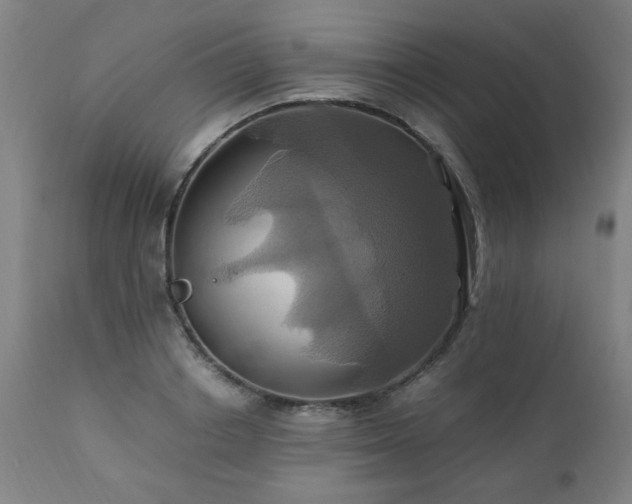 X0000110990842200906191425