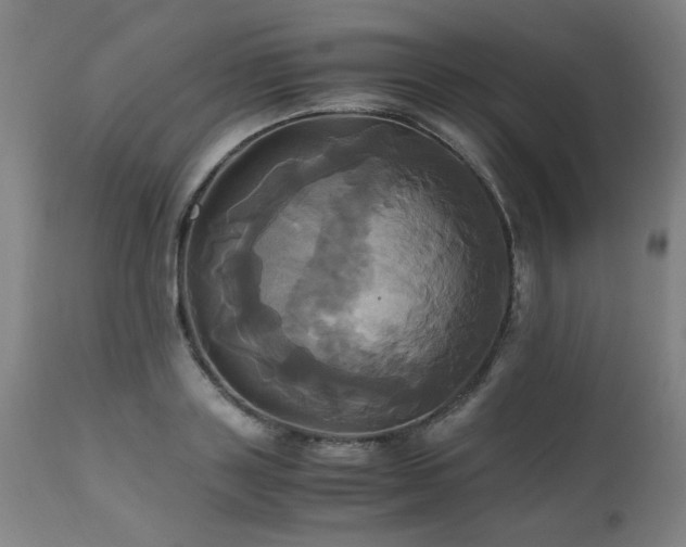 X0000110990843200906191425