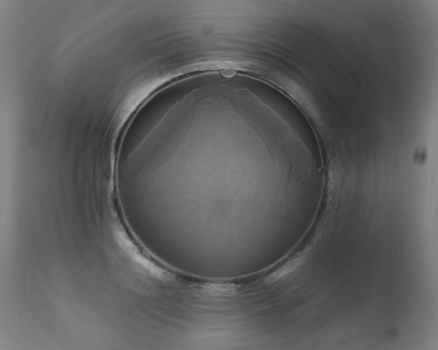 X0000110990844200906191425