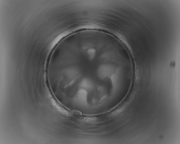 X0000110990845200906191425
