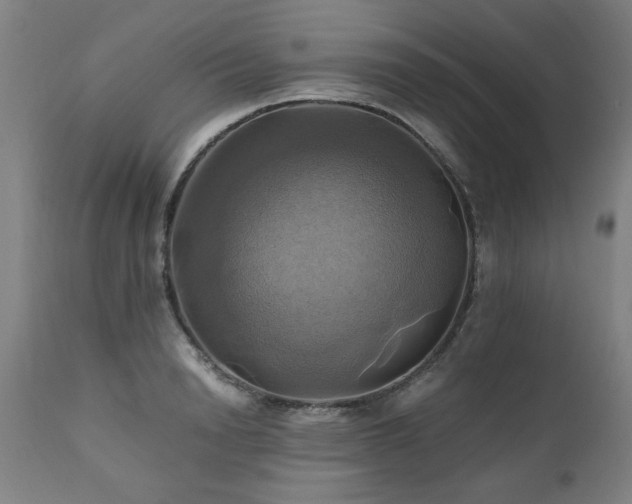 X0000110990846200906191425