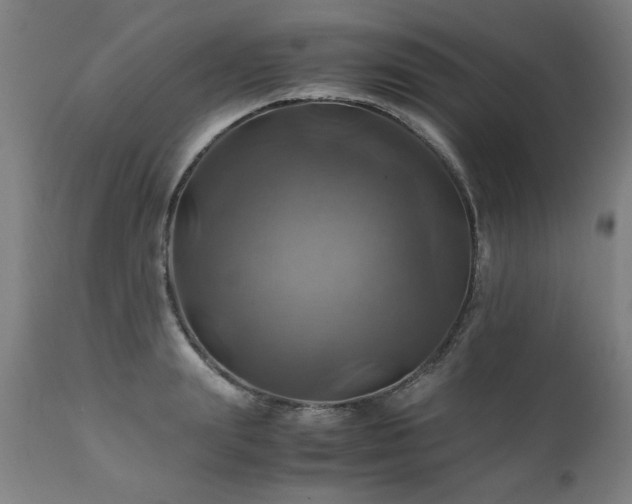 X0000110990847200906191425