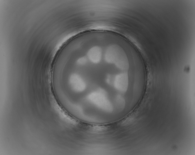 X0000110990848200906191425