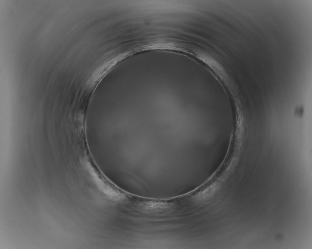 X0000110990849200906191425