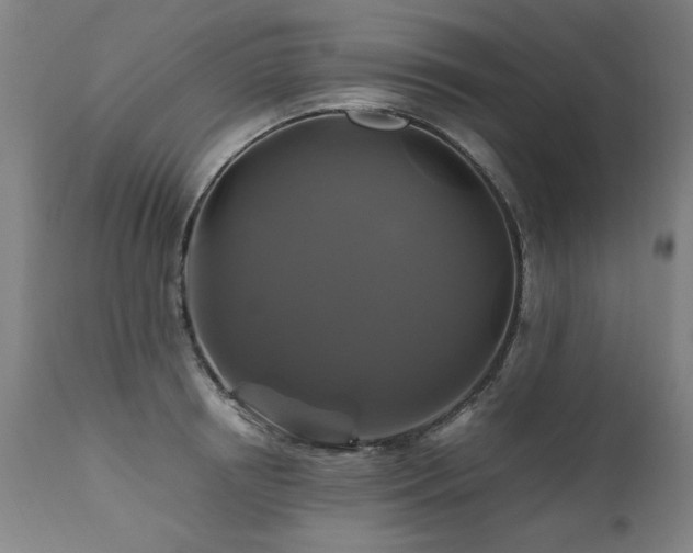 X0000110990850200906191425