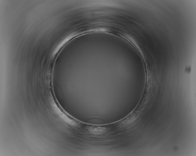 X0000110990851200906191425