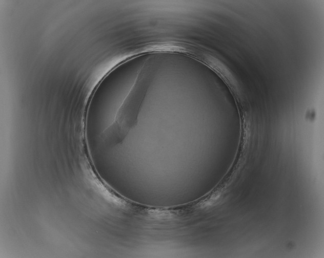 X0000110990852200906191425