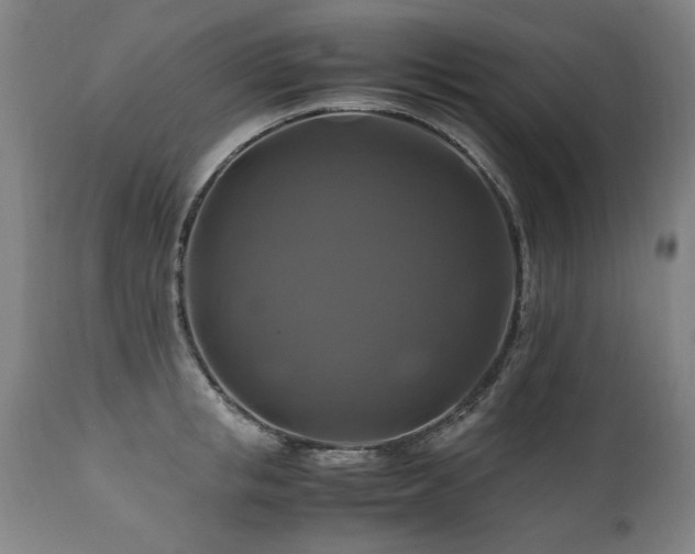 X0000110990853200906191425
