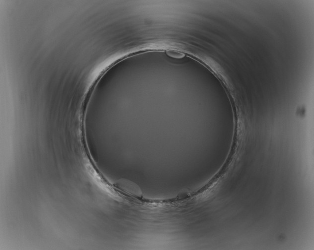 X0000110990854200906191425