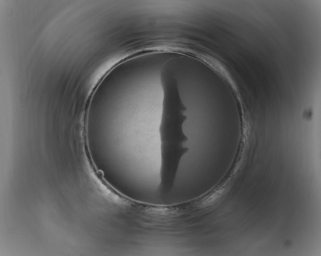 X0000110990855200906191425