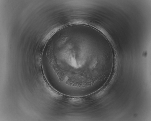 X0000110990857200906191425