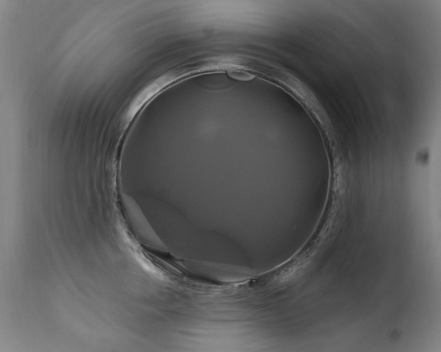X0000110990858200906191425