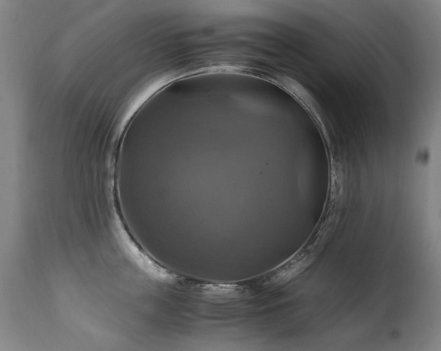 X0000110990859200906191425