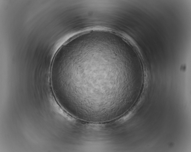 X0000110990860200906191425