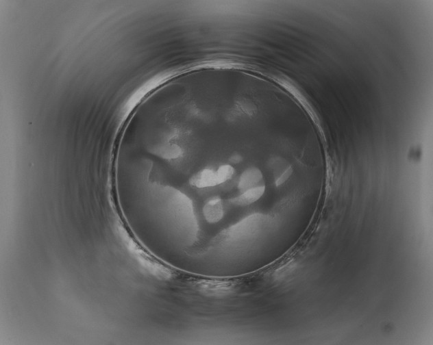 X0000110990861200906191425
