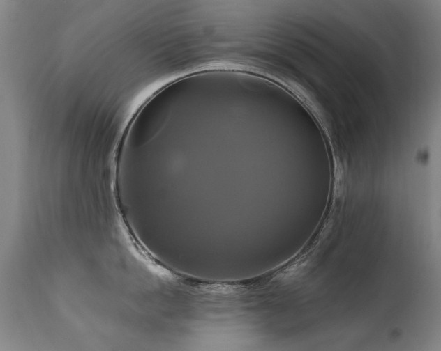 X0000110990862200906191425