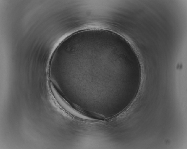 X0000110990864200906191426