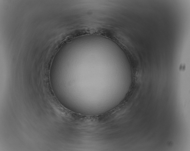 X0000110990865200906191425