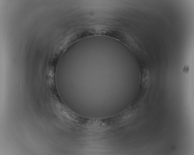 X0000110990866200906191425