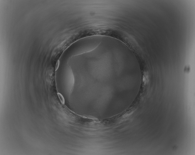 X0000110990867200906191425