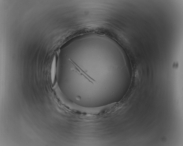 X0000110990868200906191425